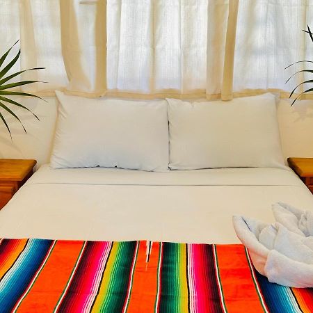 הוילה Casa Erizo Mahahual - Adults Only מראה חיצוני תמונה
