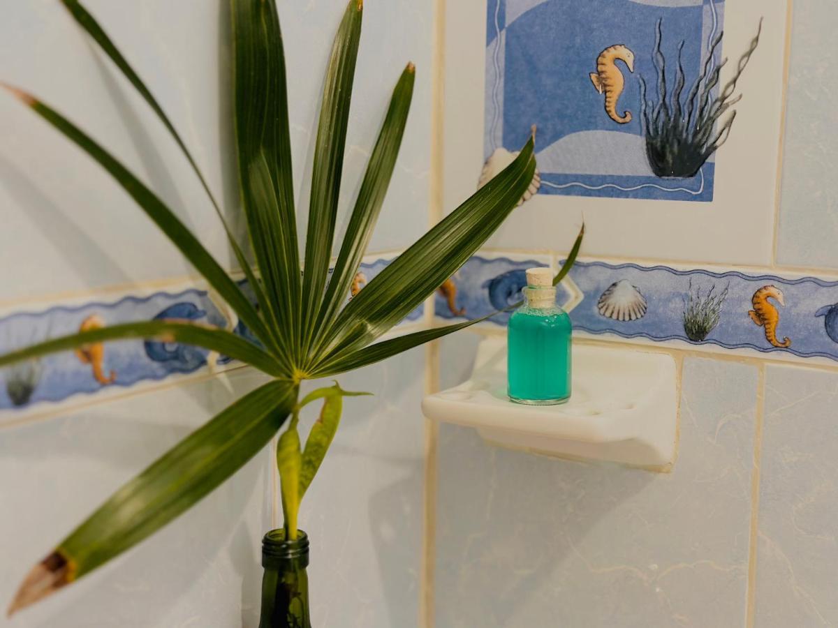 הוילה Casa Erizo Mahahual - Adults Only מראה חיצוני תמונה